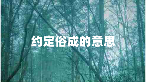 约定俗成的意思