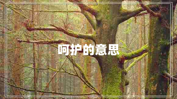 呵护的意思