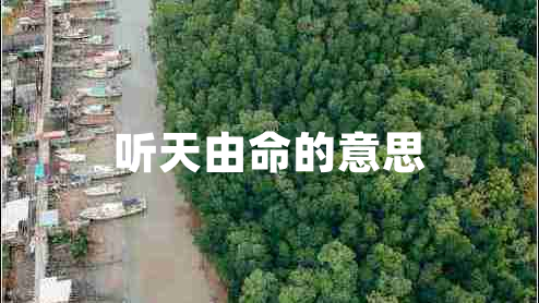 听天由命的意思