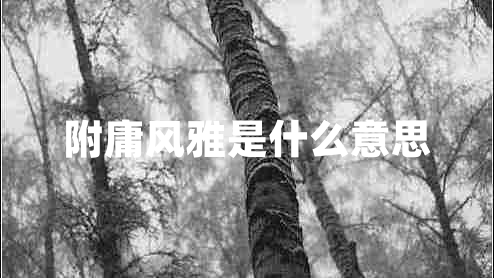 附庸风雅是什么意思