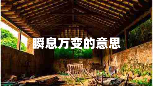 瞬息万变的意思