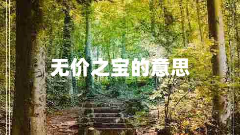 无价之宝的意思