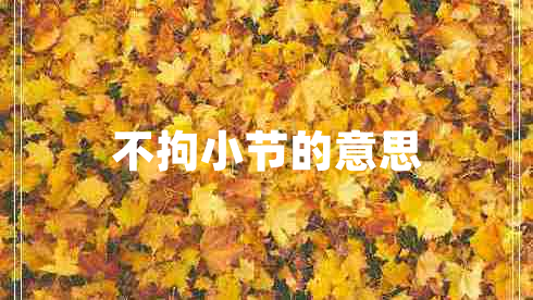 不拘小节的意思