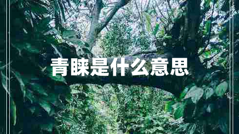 青睐是什么意思