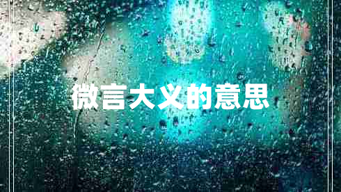 微言大义的意思