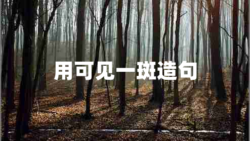 用可见一斑造句