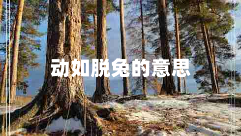 动如脱兔的意思