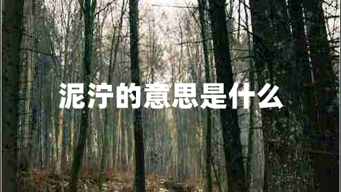 泥泞的意思是什么