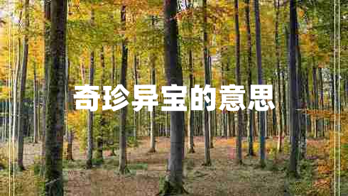 奇珍异宝的意思