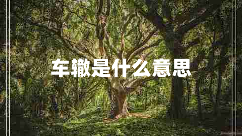 车辙是什么意思