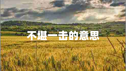 不堪一击的意思 不堪一击的意思