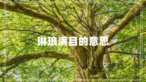 琳琅满目的意思