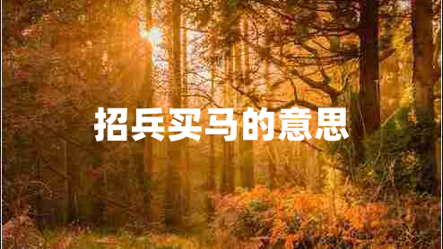 招兵买马的意思