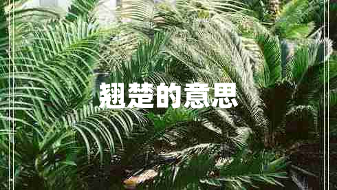 翘楚的意思