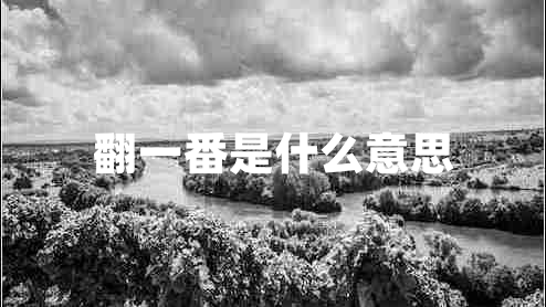 翻一番是什么意思