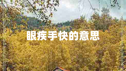 眼疾手快的意思