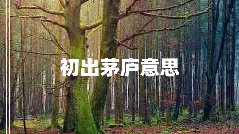 初出茅庐意思