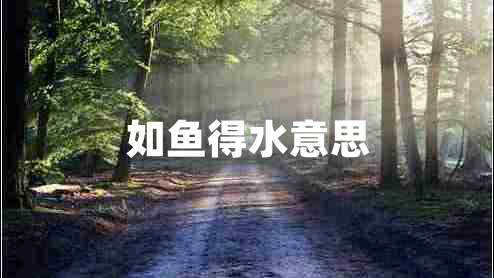 如鱼得水意思