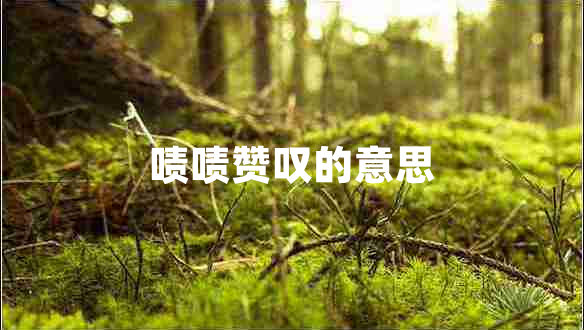 啧啧赞叹的意思