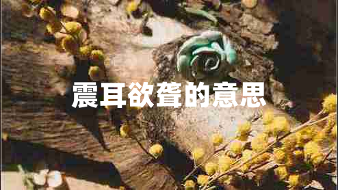 震耳欲聋的意思