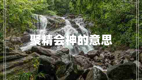 聚精会神的意思