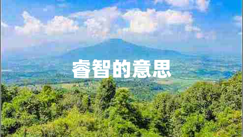 睿智的意思