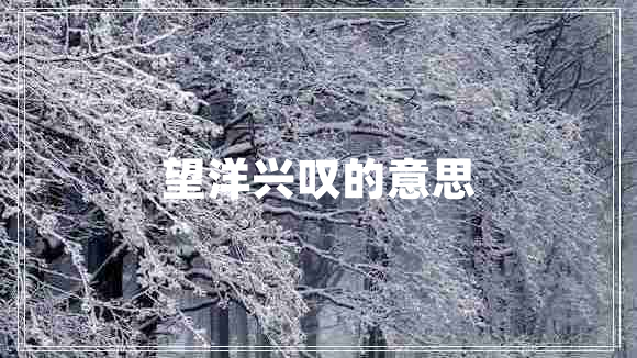望洋兴叹的意思