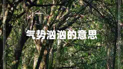 气势汹汹的意思