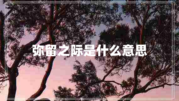 弥留之际是什么意思