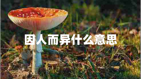 因人而异什么意思