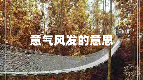 意气风发的意思 意气风发的意思