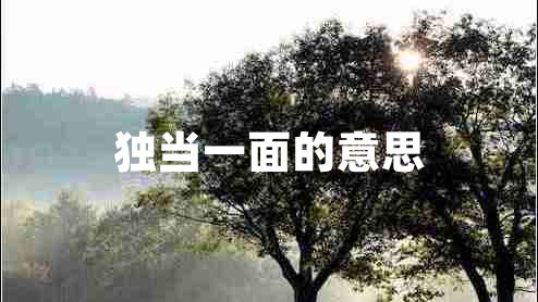 独当一面的意思
