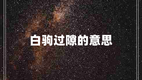 白驹过隙的意思