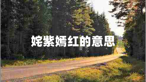 姹紫嫣红的意思