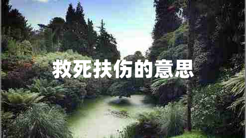 救死扶伤的意思