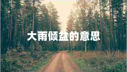 大雨倾盆的意思
