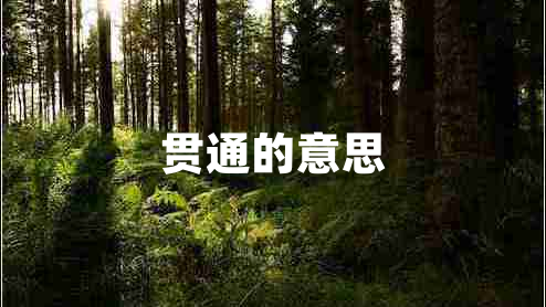 贯通的意思