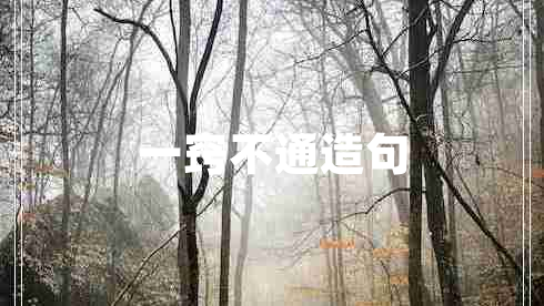 一窍不通造句