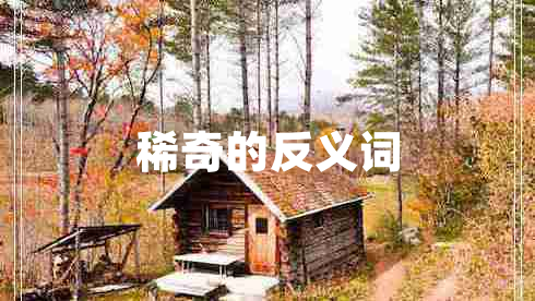 稀奇的反义词