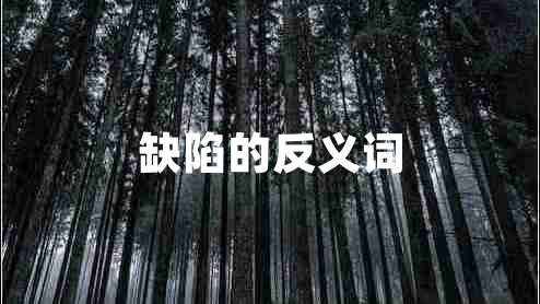 缺陷的反义词