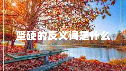 坚硬的反义词是什么