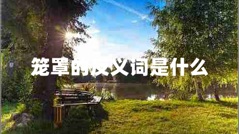 笼罩的反义词是什么