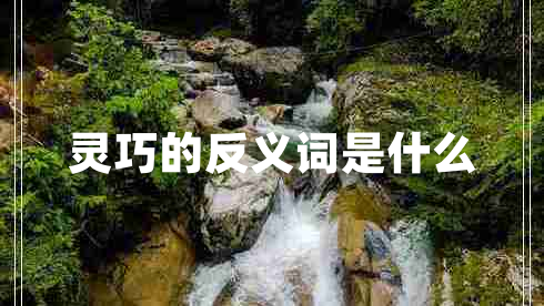 灵巧的反义词是什么