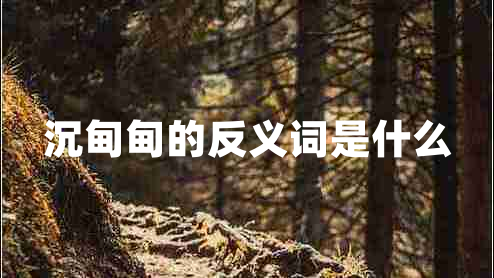 沉甸甸的反义词是什么