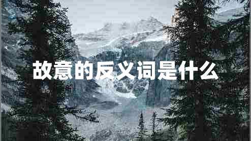 故意的反义词是什么