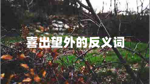 喜出望外的反义词