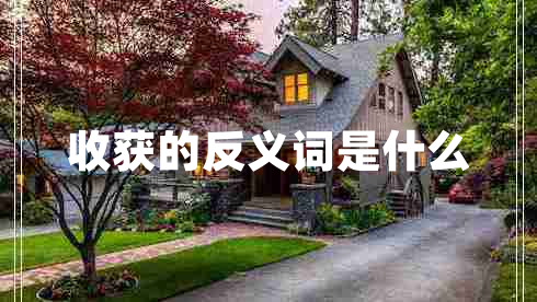 收获的反义词是什么