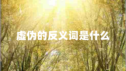 虚伪的反义词是什么