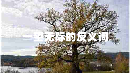一望无际的反义词