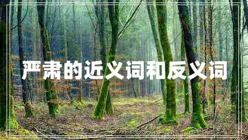 严肃的近义词和反义词